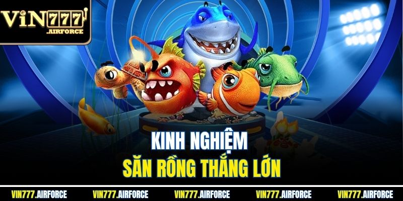 Kinh nghiệm săn rồng thắng lớn